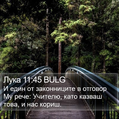 Лука 11:45 BULG Bible Verse Image