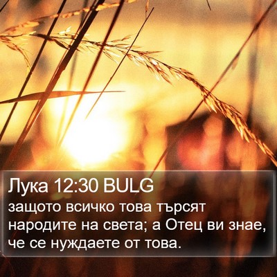 Лука 12:30 BULG Bible Verse Image