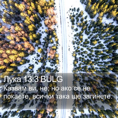 Лука 13:3 BULG Bible Verse Image