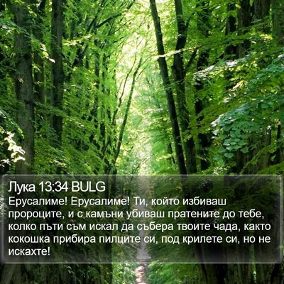 Лука 13:34 BULG Bible Verse Image