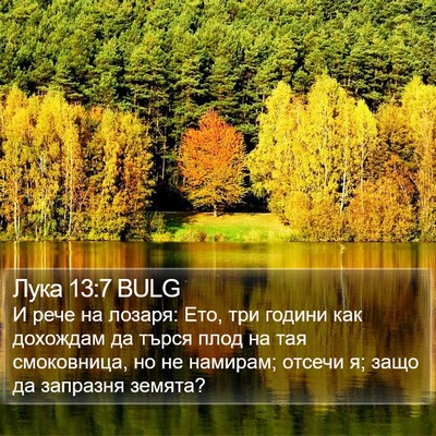 Лука 13:7 BULG Bible Verse Image