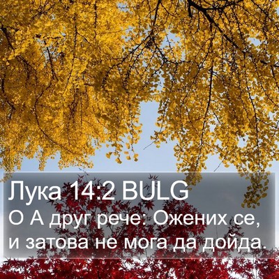 Лука 14:2 BULG Bible Verse Image