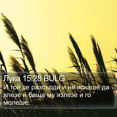 Лука 15:28 BULG Bible Verse Image
