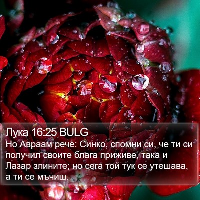 Лука 16:25 BULG Bible Verse Image