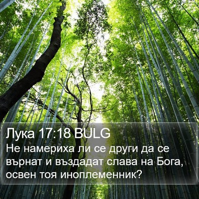 Лука 17:18 BULG Bible Verse Image