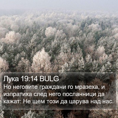 Лука 19:14 BULG Bible Verse Image