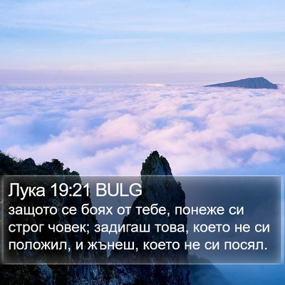 Лука 19:21 BULG Bible Verse Image
