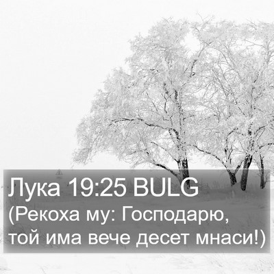 Лука 19:25 BULG Bible Verse Image