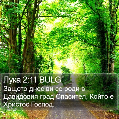 Лука 2:11 BULG Bible Verse Image