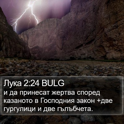 Лука 2:24 BULG Bible Verse Image