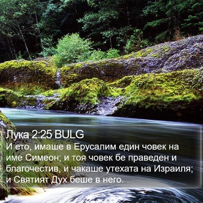 Лука 2:25 BULG Bible Verse Image