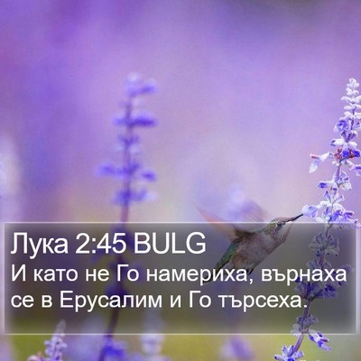 Лука 2:45 BULG Bible Verse Image