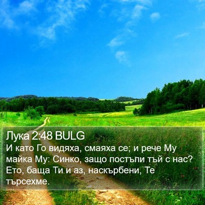 Лука 2:48 BULG Bible Verse Image