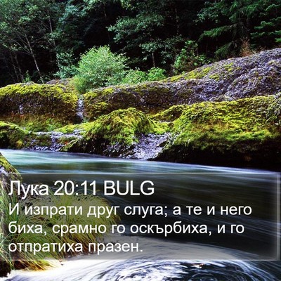 Лука 20:11 BULG Bible Verse Image