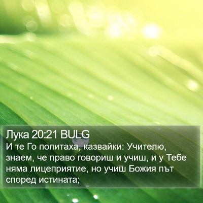 Лука 20:21 BULG Bible Verse Image