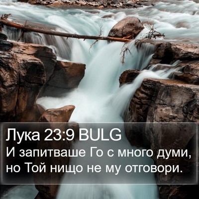 Лука 23:9 BULG Bible Verse Image