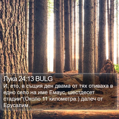 Лука 24:13 BULG Bible Verse Image
