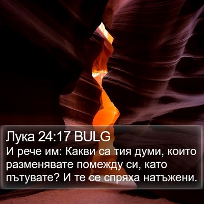 Лука 24:17 BULG Bible Verse Image