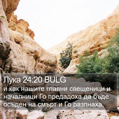 Лука 24:20 BULG Bible Verse Image
