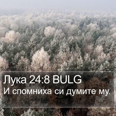 Лука 24:8 BULG Bible Verse Image