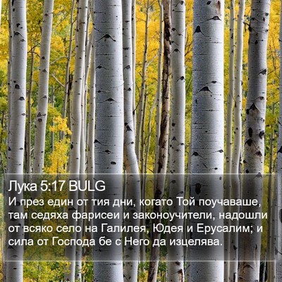 Лука 5:17 BULG Bible Verse Image