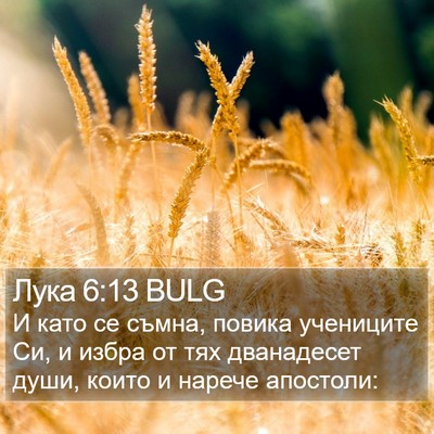 Лука 6:13 BULG Bible Verse Image