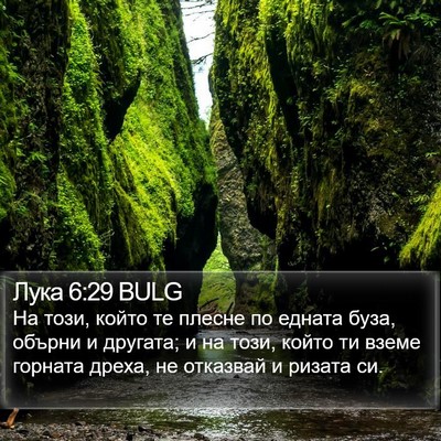 Лука 6:29 BULG Bible Verse Image