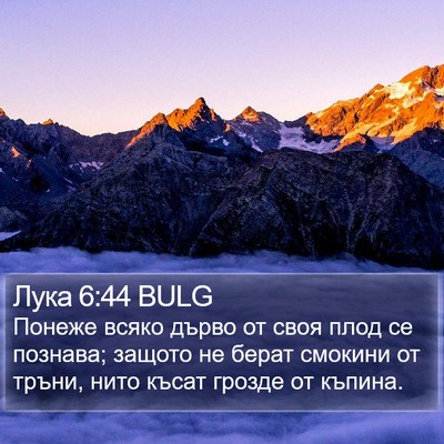 Лука 6:44 BULG Bible Verse Image