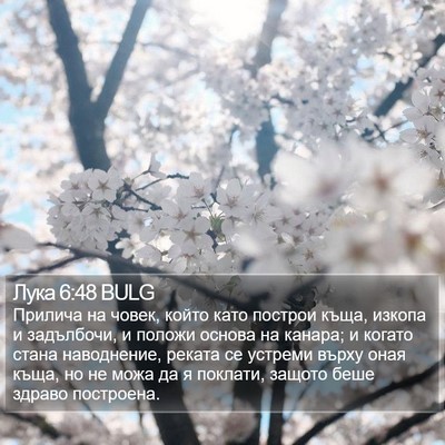 Лука 6:48 BULG Bible Verse Image