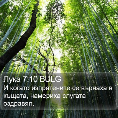 Лука 7:10 BULG Bible Verse Image
