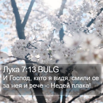 Лука 7:13 BULG Bible Verse Image