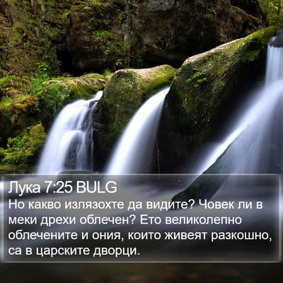 Лука 7:25 BULG Bible Verse Image