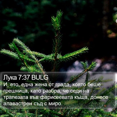 Лука 7:37 BULG Bible Verse Image