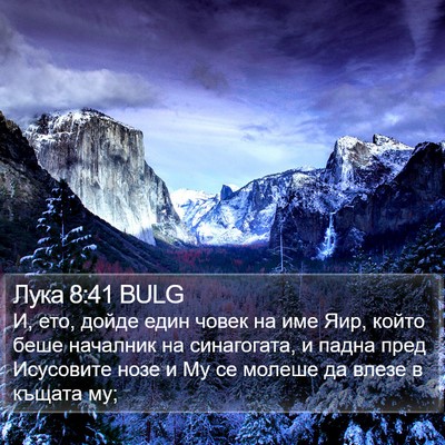 Лука 8:41 BULG Bible Verse Image