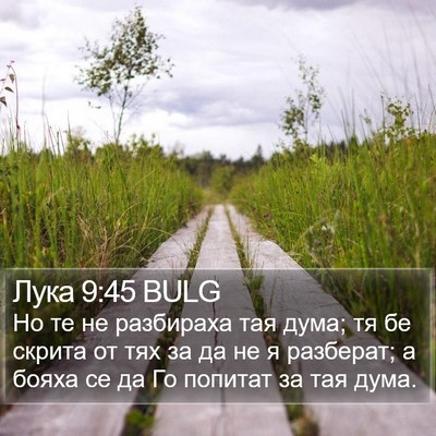 Лука 9:45 BULG Bible Verse Image