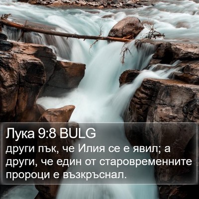 Лука 9:8 BULG Bible Verse Image