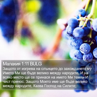 Малахия 1:11 BULG Bible Verse Image