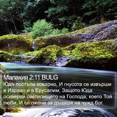 Малахия 2:11 BULG Bible Verse Image