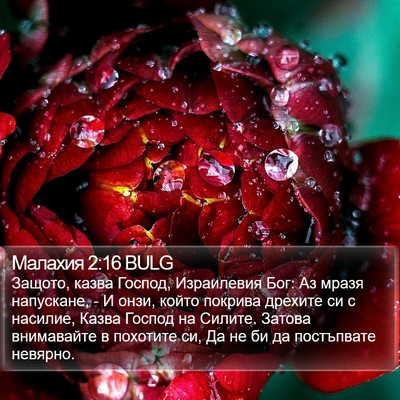 Малахия 2:16 BULG Bible Verse Image