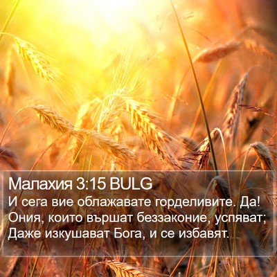 Малахия 3:15 BULG Bible Verse Image