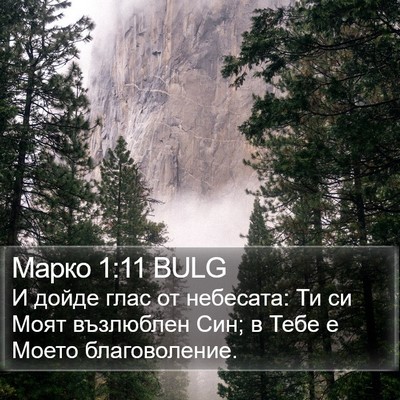 Марко 1:11 BULG Bible Verse Image