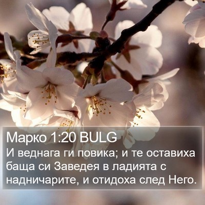 Марко 1:20 BULG Bible Verse Image