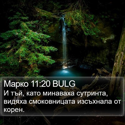 Марко 11:20 BULG Bible Verse Image