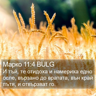 Марко 11:4 BULG Bible Verse Image