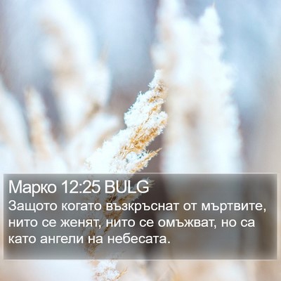 Марко 12:25 BULG Bible Verse Image