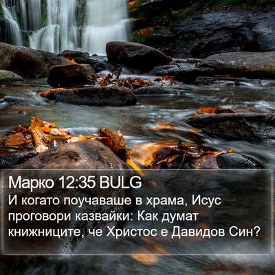Марко 12:35 BULG Bible Verse Image