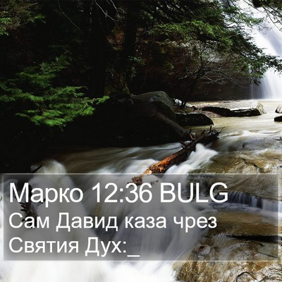Марко 12:36 BULG Bible Verse Image