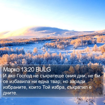 Марко 13:20 BULG Bible Verse Image