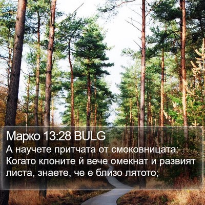 Марко 13:28 BULG Bible Verse Image