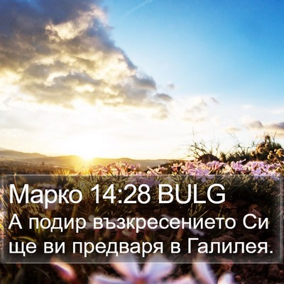 Марко 14:28 BULG Bible Verse Image